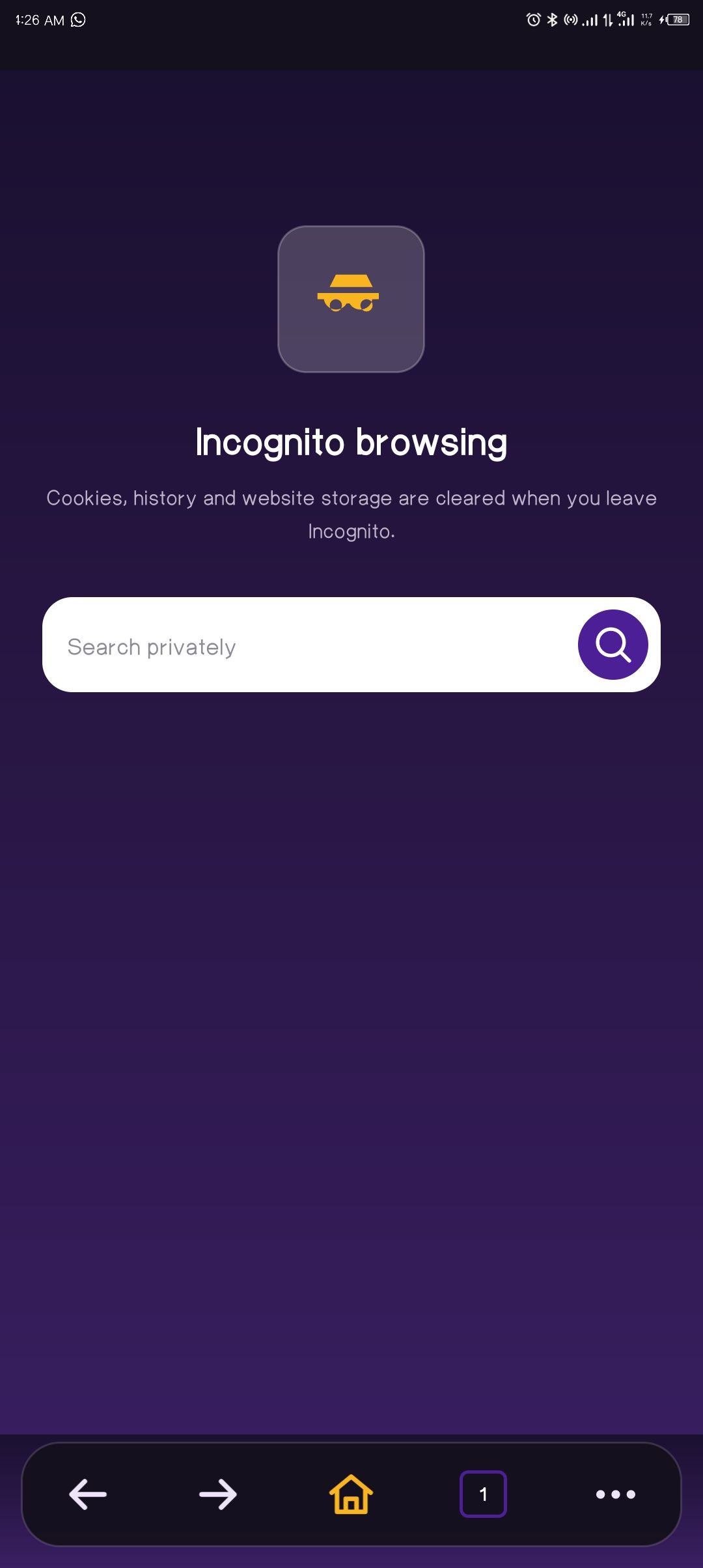 SSG Browser Incognito start screen